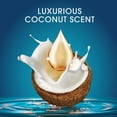 thumbnail image 4 of Set de champú y acondicionador Head & Shoulders Royal Oils, 4 of 8