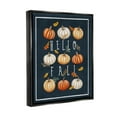 thumbnail image 3 of Stupell Industries Hello Fall Mixed Pumpkins Graphic Art Jet Black Floating Framed Canvas Print Wall Art, Design by Elizabeth Tyndall, 3 of 6