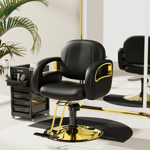 Baasha Professional Black and Gold Salon Chair, Comfortable Cushion, Upgraded Durable Armrests, 360 Degree Rotation, Premium Gold Hair Stylist Chair, Weight Capacity 330 lbs