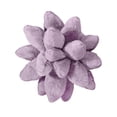 thumbnail image 3 of Cojín de felpa perfecl juguetes de peluche almohadas divertidas universales decorativas para sala de estar Violeta, 3 of 6