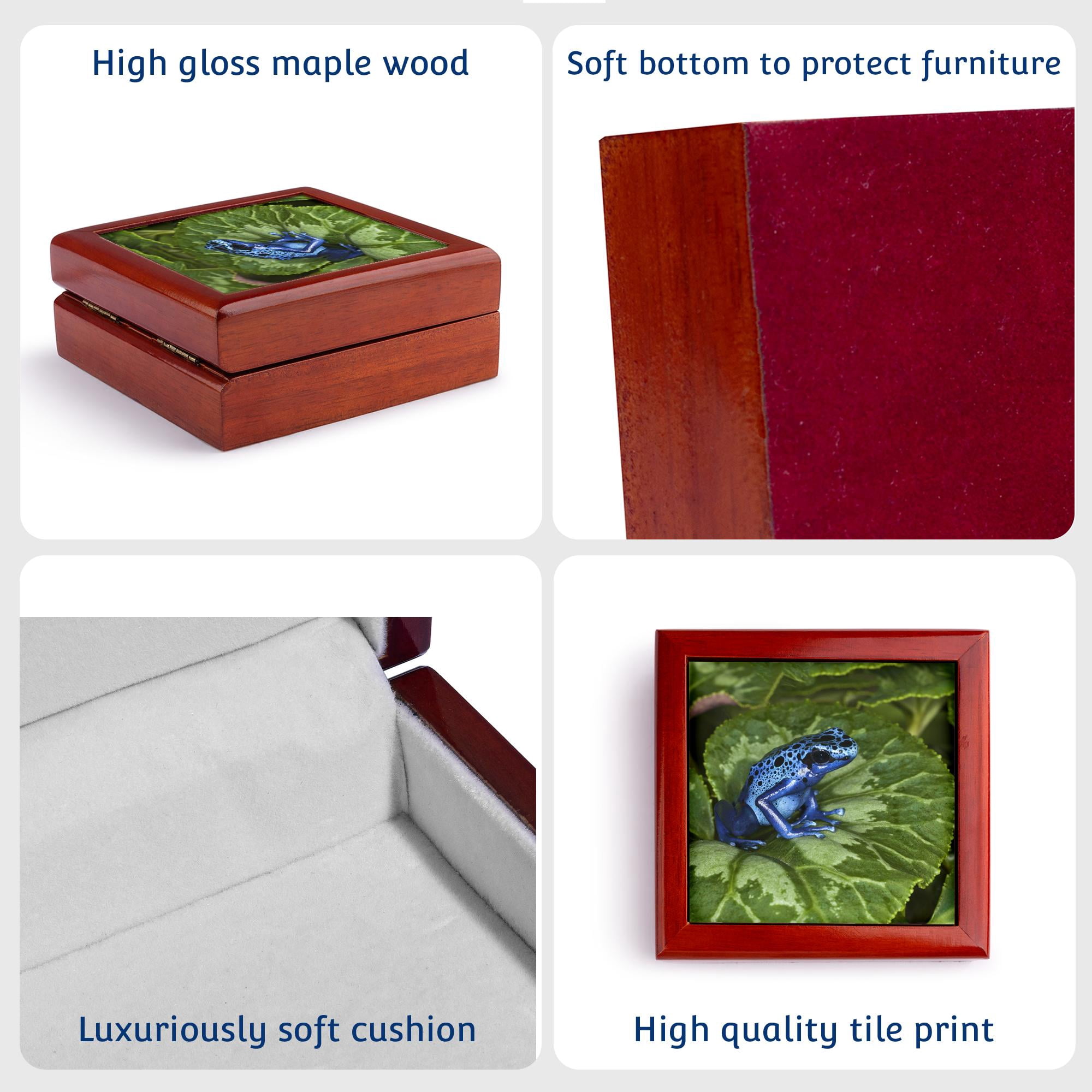 3dRose, Blue Poison Dart Frog, Surinam - SA18 AJE0002 - Adam Jones, Jewelry Box 5.5x5.5 inch with 4 inch tile