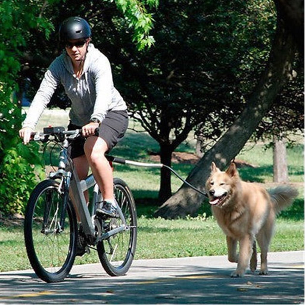 Bicylce Exerciser Leash Attachment Dog Bike Leash for Dog Traction Belt with Spring Stainless Steel Traction Rope