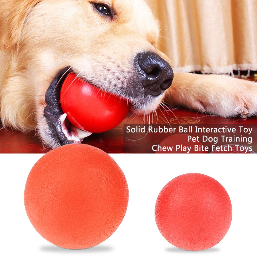 HERCHR Solid Rubber Ball Interactive Toy Pet Dog Training Chew Play