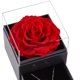 thumbnail image 4 of Caja de joyería de oso con flores rosas eternas para mujer Ehuebsd con Collar romántico San Valentín cumpleaños día de boda regalos para madre y novia, 4 of 5