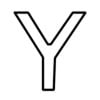 Y