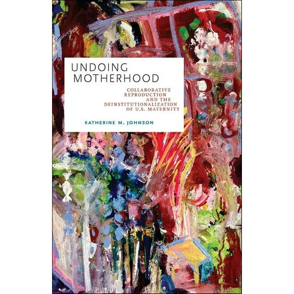 Families in Focus: Undoing Motherhood : Collaborative Reproduction and the Deinstitutionalization of U.S. Maternity (Paperback)