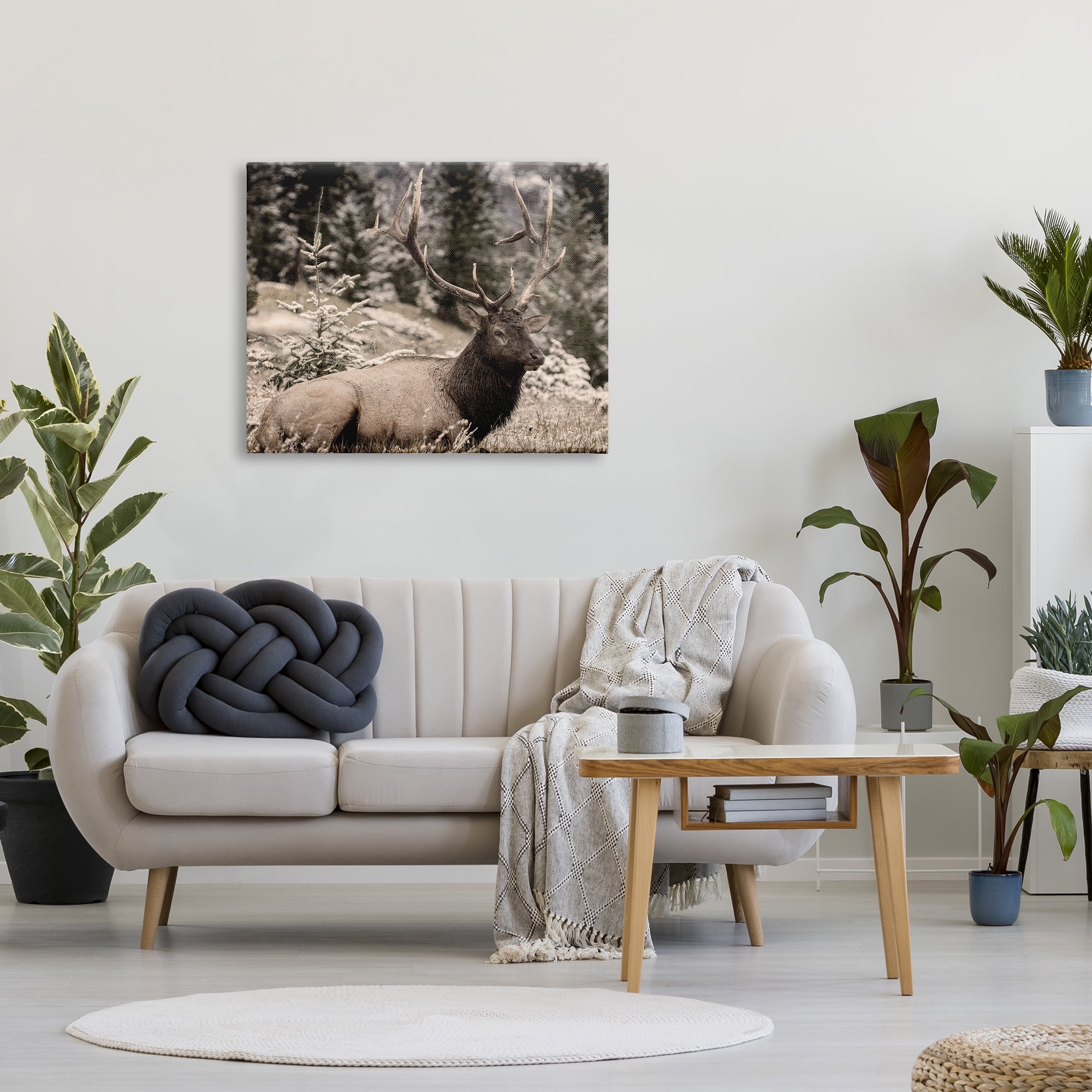 Stupell Industries Elk in Nature Photography Animals & Insects Photography Gallery Wrapped Canvas Art Print Wall Art, 40 x 30