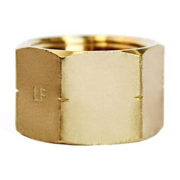 3/4 in. FPT Brass Cap