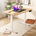 thumbnail image 1 of MAISNTAYS Electric Height Adjustable Desk - White with Nature Wood Color, 1 of 16