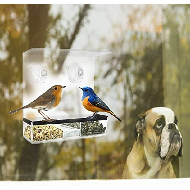 Mangeoire à Oiseaux pour Fenêtres, 1 Pcs Acrylique Mangeoire Oiseaux  Extérieur Fenêtre avec 3 Ventouses, Transparent avec Bac à Amovible  Mangeoire à Oiseaux pour Moineaux, Oiseaux Sauvages