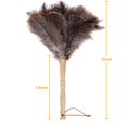 thumbnail image 2 of Plumero de plumas de avestruz Lycbayn, 38 cm, suave y de mano, 2 of 6