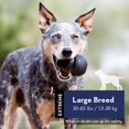thumbnail image 4 of Extreme Dog Toy - Heavy Duty Natural Rubber, Black - Bite, Hunt & Retrieve Toy - For Large Dogs, 4 of 6