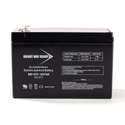 Minimoto Hybrid Mobility Scooter Replacement Battery by Bright Way