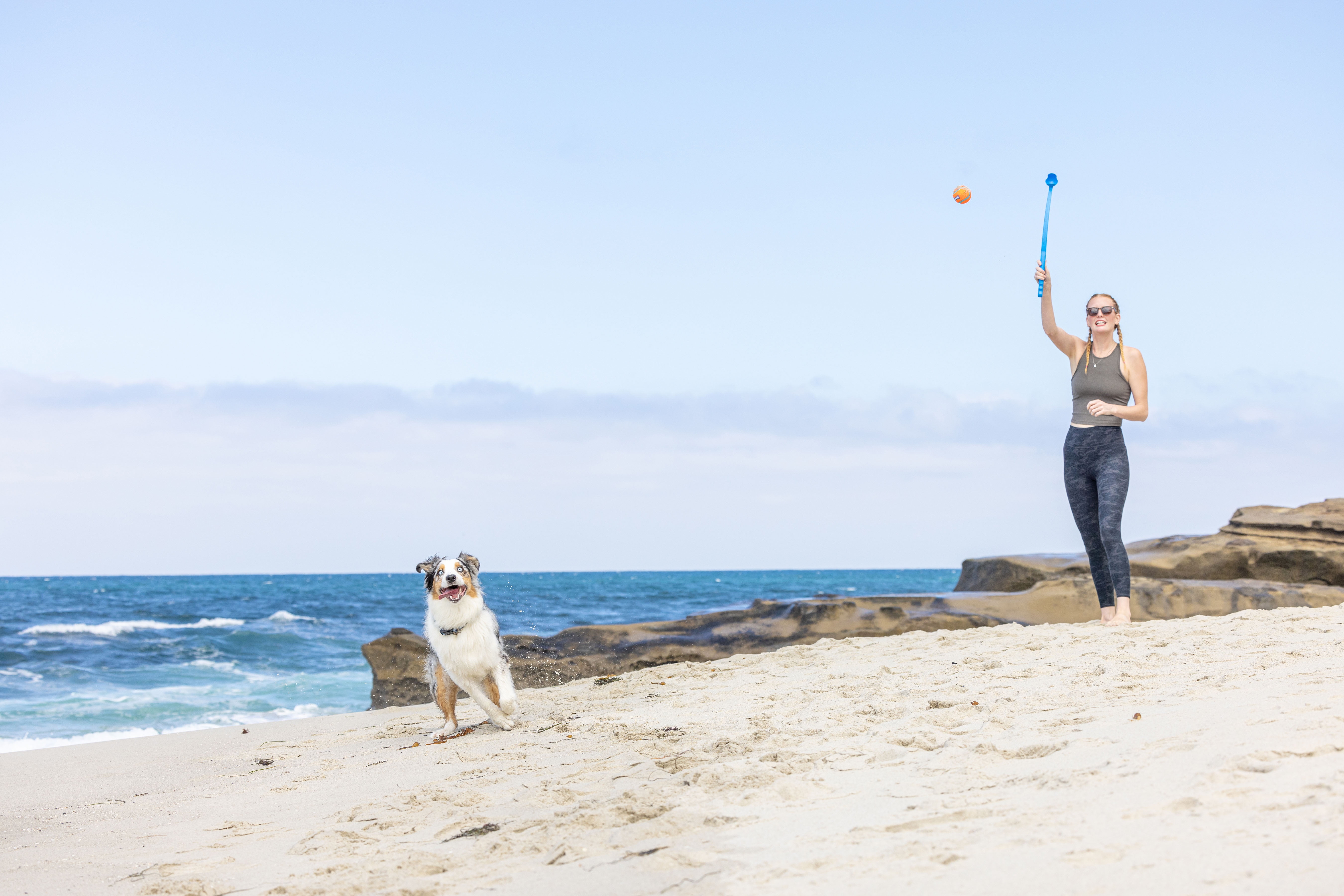 Chuckit! Classic 26M Dog Ball Launcher Fetch Toy For Dogs, 26" Handle, Compatible With Medium 2.5" Ball (Included), For Breeds 20 to 60 lb, Assorted