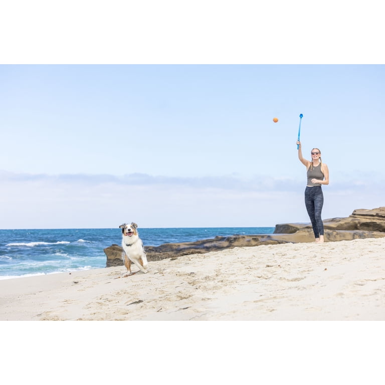 Chuckit! Classic 26M Ball Launcher for Dogs, 26" Handle photo 4