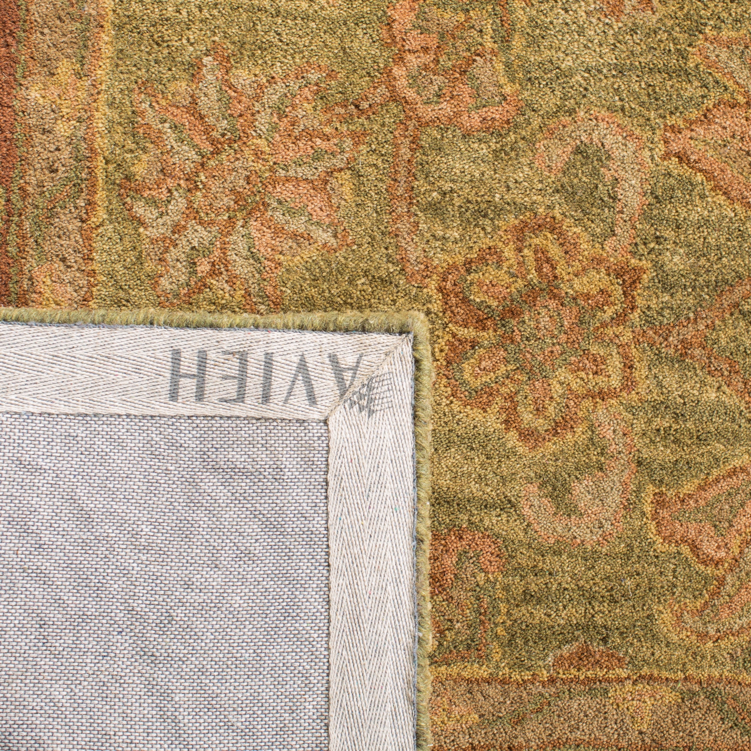 Safavieh Golden Jaipur Dreda Bordered Wool Area Rug, Green/Rust, 8'3" x 11'