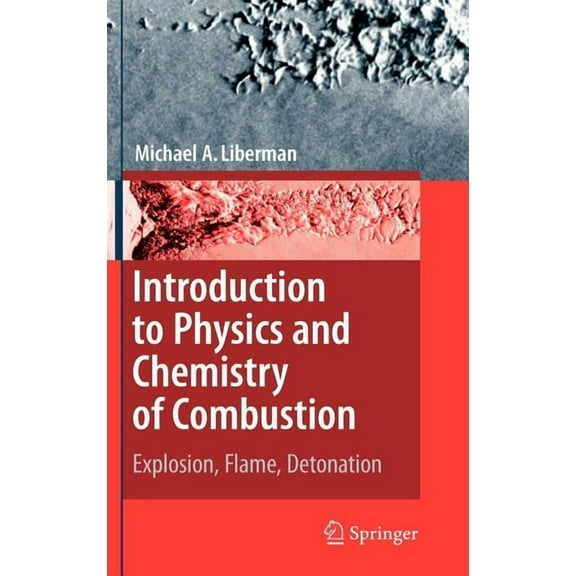 Introduction to Physics and Chemistry of Combustion: Explosion, Flame, Detonation, (Hardcover)