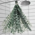 thumbnail image 1 of Eucalipto seco ramas decoración baño eucalipto seco colgante eucalipto seco hogar, 1 of 7