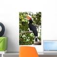 thumbnail image 1 of Rhinoceros Hornbill Wall Mural by Wallmonkeys Peel and Stick Graphic (18 in H x 12 in W) WM243858, 1 of 4