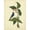 Unframed, variant on Art.com Catesby Bird & Botanical IV Art Print by Mark Catesby, 12" x 16"