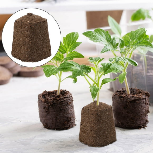 Minkissy 10Pcs Mushroom Growing Kit with Rapid Breeding Dark Brown Peat Matrix Block for Home Planting