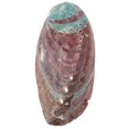 thumbnail image 3 of MOVTOTOP Abalone Shell Aromatherapy Burning Container for Home Use Multi-Color Natural Shell Craft décor 7.5, 3 of 7