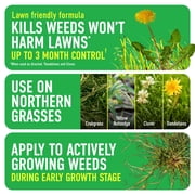 Roundup For Lawns₁ Ready-To-Use with Extend Wand, Tough Weed Killer for Use on Northern Grasses, 1 gal.