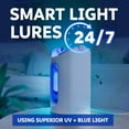thumbnail image 4 of Zevo Max Flying Insect Indoor Fly Trap: Easy, Mess-Free Solution - Light Trap Catches & Kills House Flies, Fruit Flies, Gnats, & More (1 Plug in Device & 4 Cartridges), 4 of 12