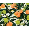 thumbnail image 2 of Gallagher, Megan 24x20 White Modern Wood Framed Museum Art Print Titled - Sweet Orange Lime, 2 of 4