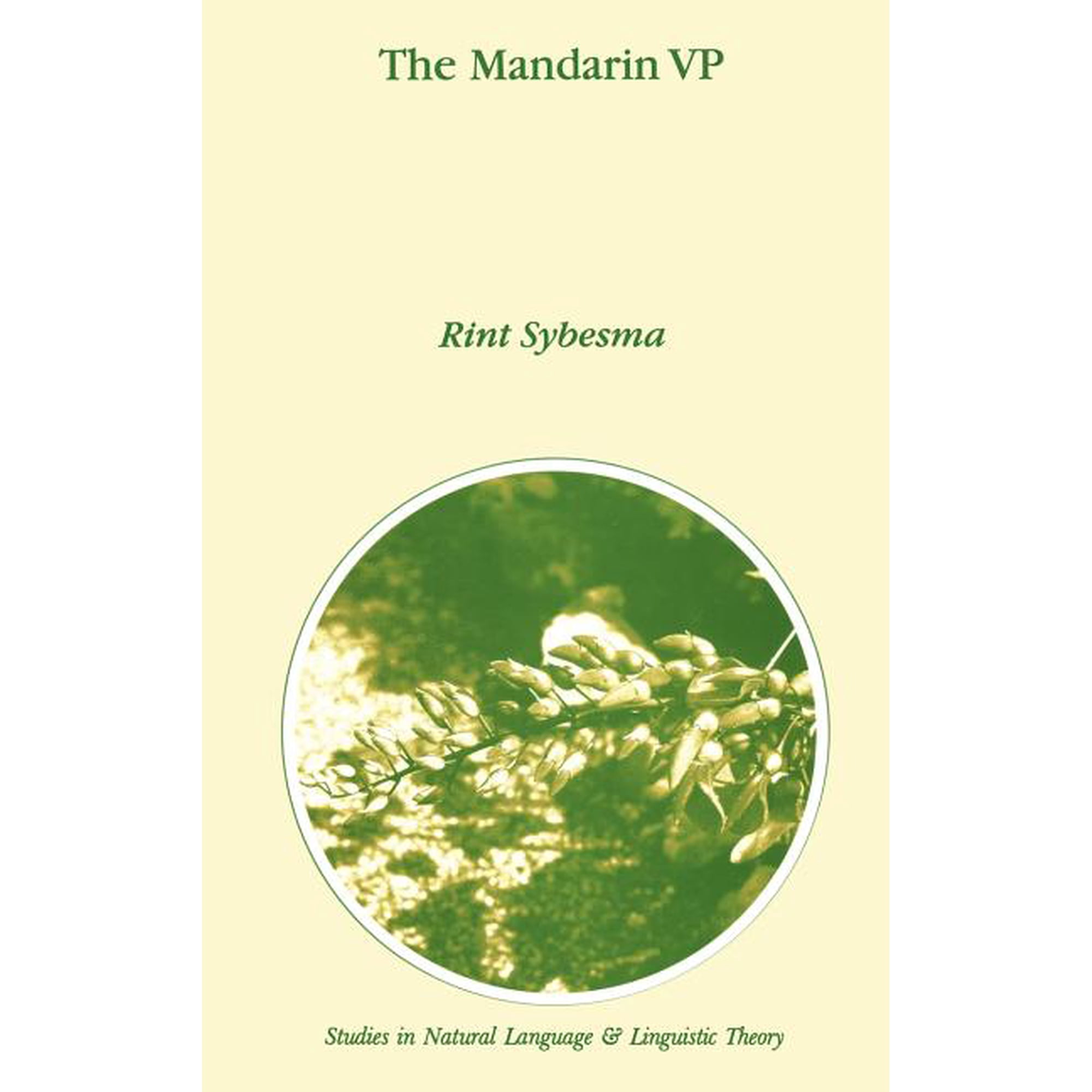 Studies in Natural Language and Linguist The Mandarin VP Book 44 (Hardcover)