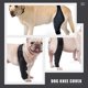 thumbnail image 3 of Dog Foreleg Brace Dog Leg Protector Dog Leg Cover Dog Leg Sleeve Dog Hindleg Sleeve, 3 of 4