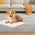 thumbnail image 5 of asddcavvf Tapis de Gel d'Été pour Chiens et Chats Tapis de Glace Réutilisable Doux Confortable Respirant pour Chenil Usage Intérieur, 5 of 5