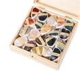 thumbnail image 2 of lionlar Rock and Mineral Collection Archeology History Gift Learning and Educational Toy D, 2 of 9