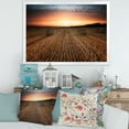 thumbnail image 3 of Designart 'A Field Full of Hay Bales At Sunset Landscape' Farmhouse Framed Art Print, 3 of 4