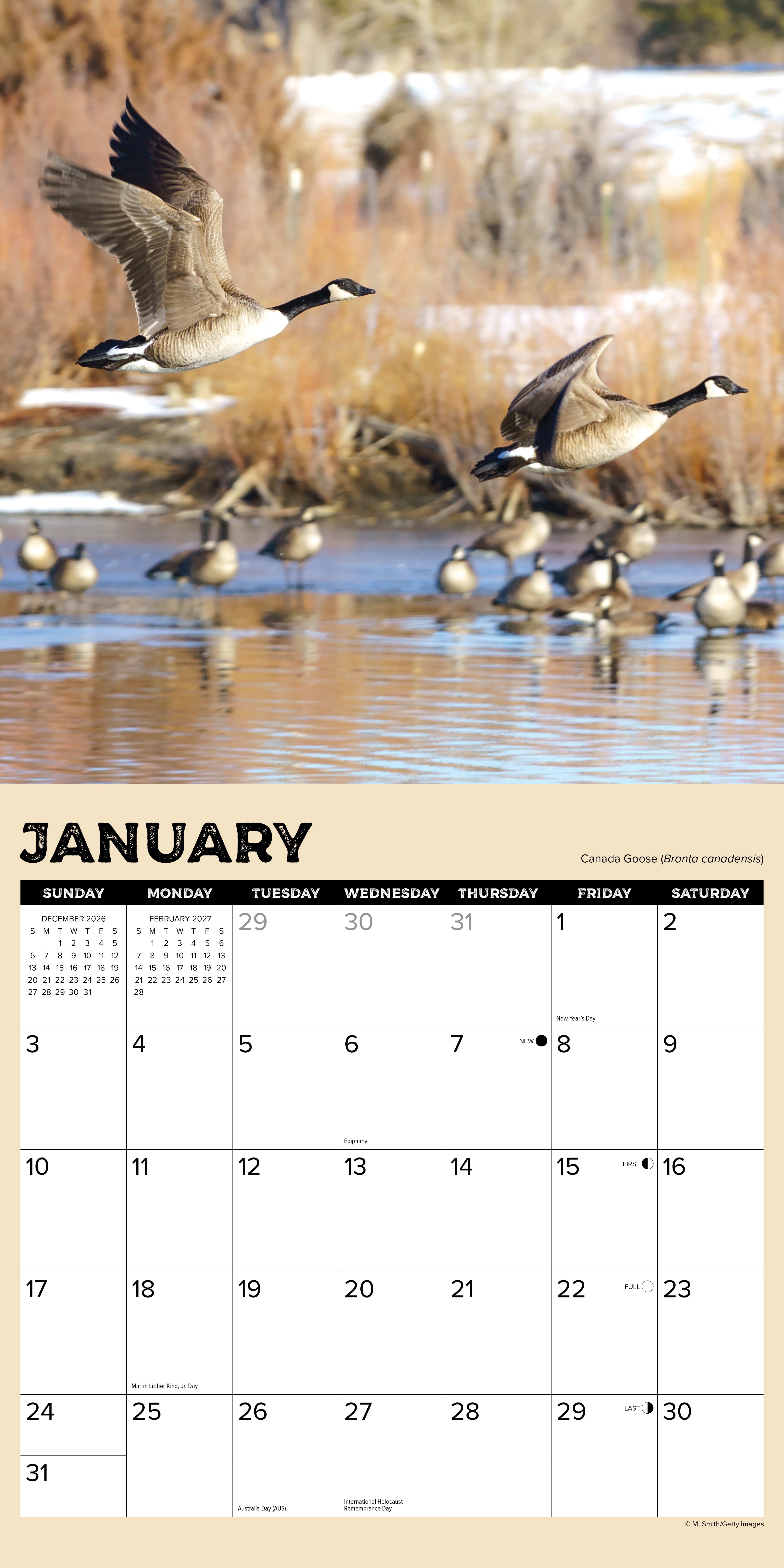 Willow Creek Press, Gone Hunting 2027 Wall Calendar