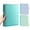 Transparent green, variant on ROZYARD Presentation Display Folder Hold up 220Sheets File Document Organizers