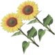 thumbnail image 5 of 2 estacas de girasol acrílicas para jardín, decoración de girasoles, estacas de flores, letreros de jardín, 5 of 7