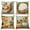 pumpkin-1, variant on Dashan Fall Throw Pillow Covers 18x18 4 PCS Pumpkin Squirrel Thanksgiving Couch Cushion Pillowcases for Sofa Living Room