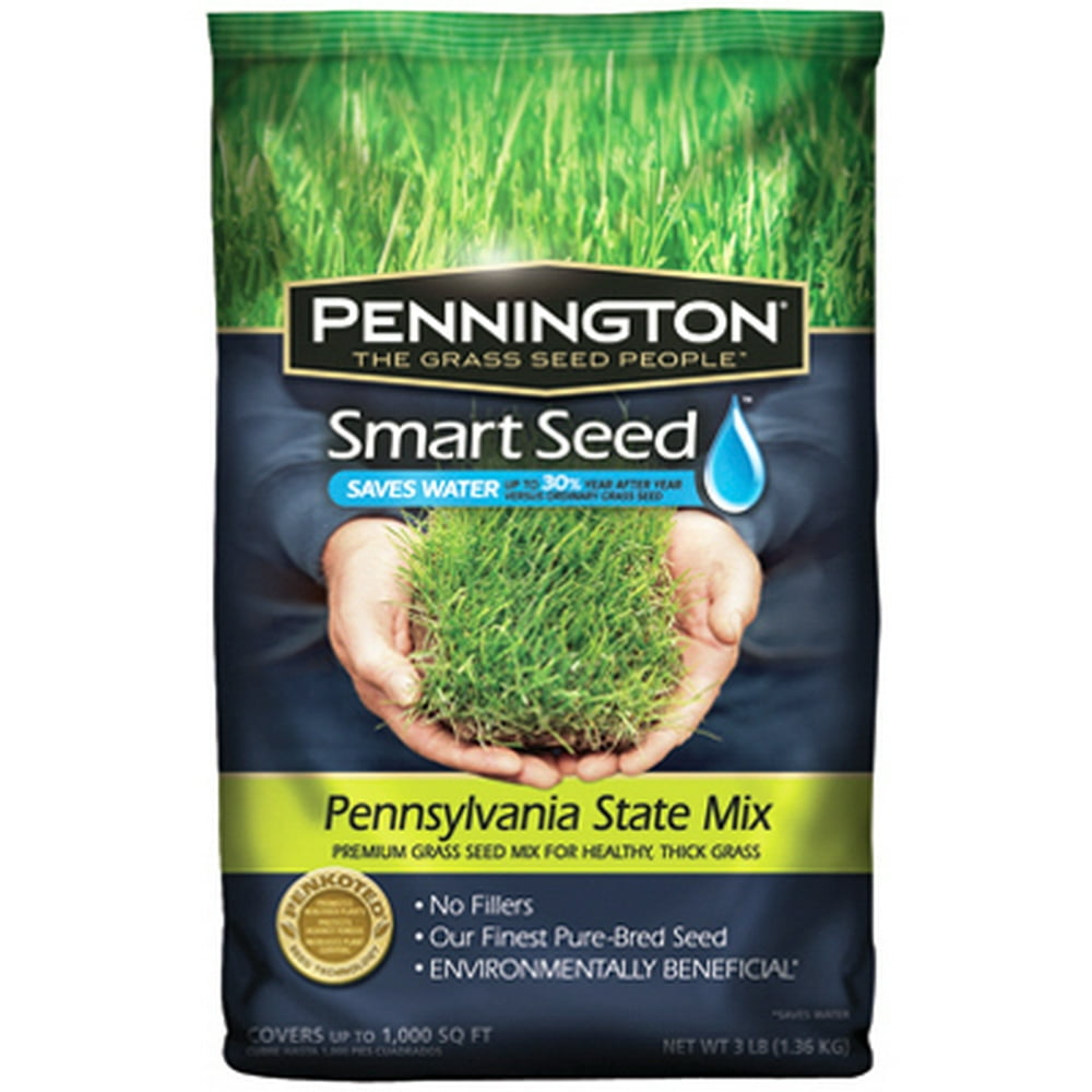 Barenbrug USA 23074 Pennsylvania State Mix Grass Seed3LB PENN ST SEED