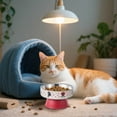 thumbnail image 1 of Elevated Cat Slow Feeder Bowl Tilt Raised Dish for Improved Eating Posture and Digestion with Non- Base Design, 1 of 3