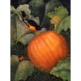 thumbnail image 2 of Matcham, Marcia 15x18 Gold Ornate Wood Framed with Double Matting Museum Art Print Titled - Oriole and Pumpkin, 2 of 4