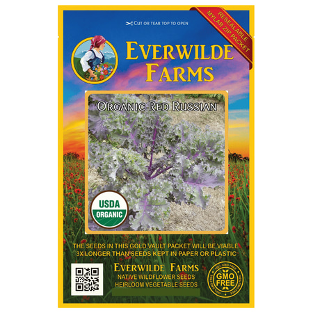 Everwilde Farms - 250 Organic Red Russian Kale Seeds - Gold Vault Jumbo Bulk Seed