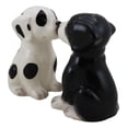 thumbnail image 5 of Ebros Ceramic Black & White Mutt Puppy Dogs Kissing Salt And Pepper Shakers Set, 5 of 9