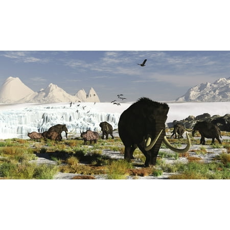 Wooly Rhino - Woolly mammoths and woolly rhinos in a prehistoric landscape Canvas Art - Arthur DoretyStocktrek Images (37 x 21)