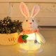 thumbnail image 4 of Muñeco Luminoso Lindo Feliz Pascua con Luz LED Decoración de Vacaciones en el Hogar (Zanahoria) Tmvgtek Libre de BPA, 4 of 6