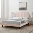 thumbnail image 1 of Modway Lit Plateforme Double en Velours de Performance Sienna, Rose, 1 of 11