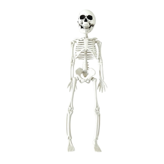 Tumdkd 12" Skeleton Figurine Realistic Human Skull Model Posable Joints Scary Prop Indoor Outdoor Party Haunted Decor