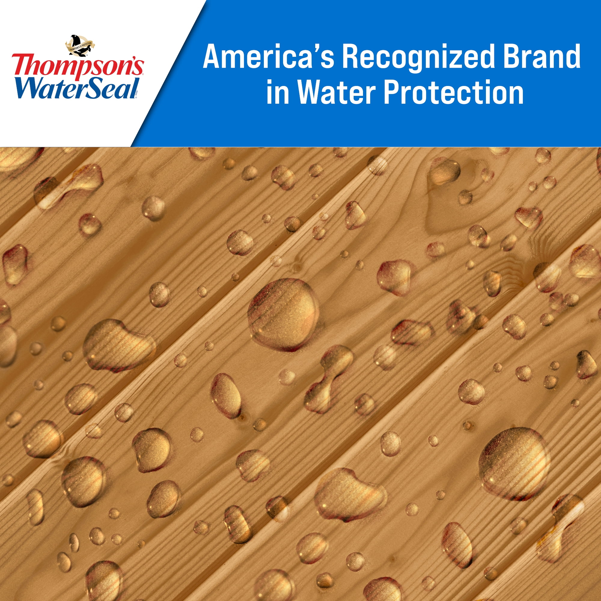 Thompson's WaterSeal Waterproofer Plus Tinted Wood Protector, Desert Brown, 1 Gallon