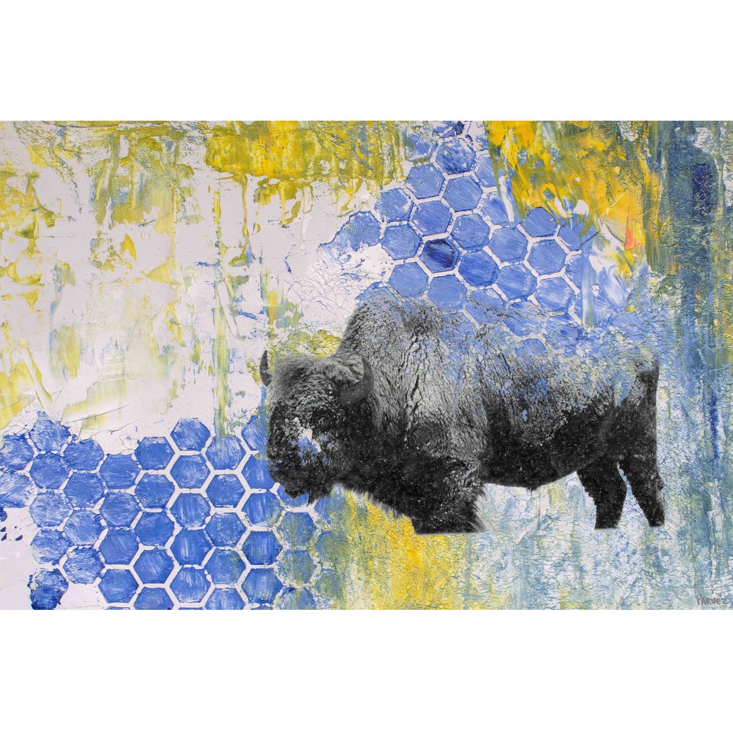 "Buffalo Honeycomb" Painting Print on Wrapped Canvas