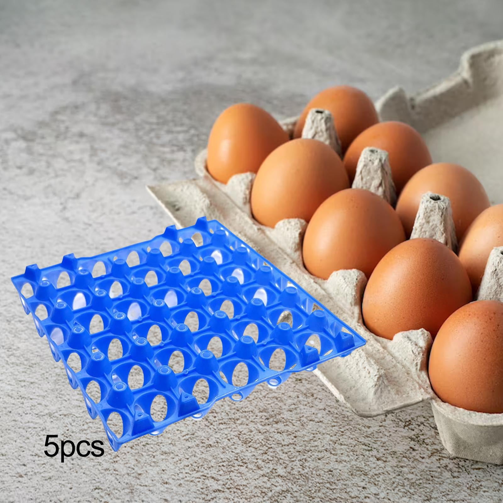 Nishiyuenyi 30 Grid Egg Tray Cabinet Egg Storage Container Egg Holder for Refrigerator 10pcs 5pcs Blue